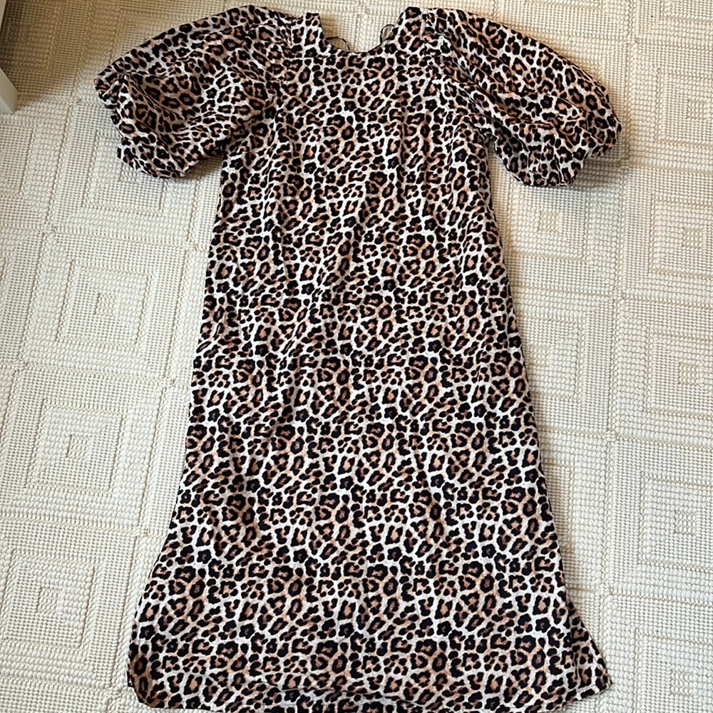 H&M Cheetah print maxi dress with puff sleeves